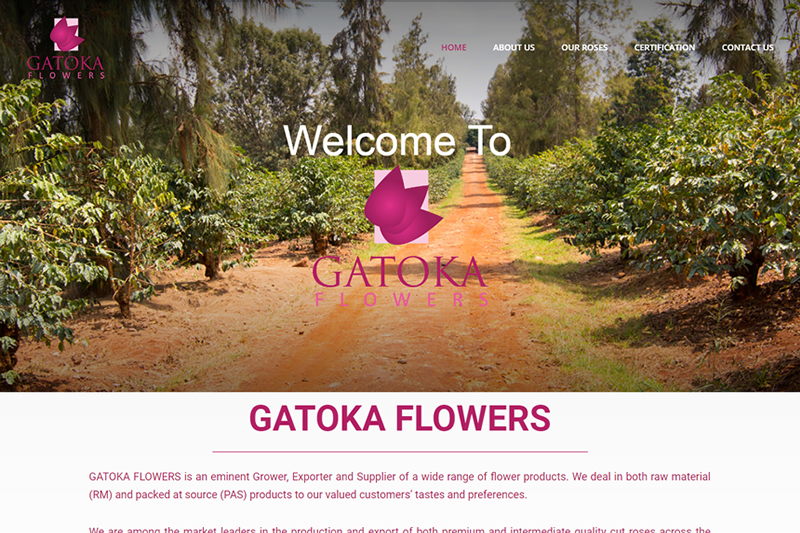 Gatoak Flowers website design